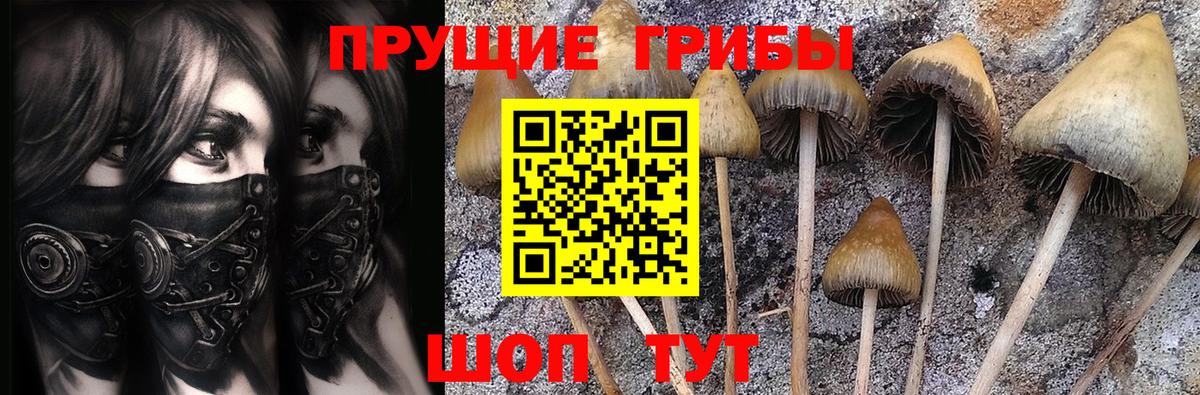 Псилоцибиновые грибы Psilocybine cubensis  Галлюциногенные грибы Cubensis  Саранск  Вход с VPN 
